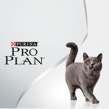 Alimento para gatos Pro Plan
